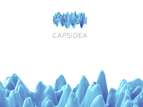 capsidea process 03