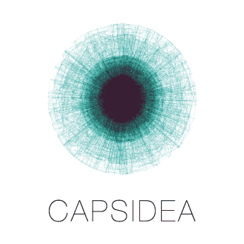 capsidea process 08