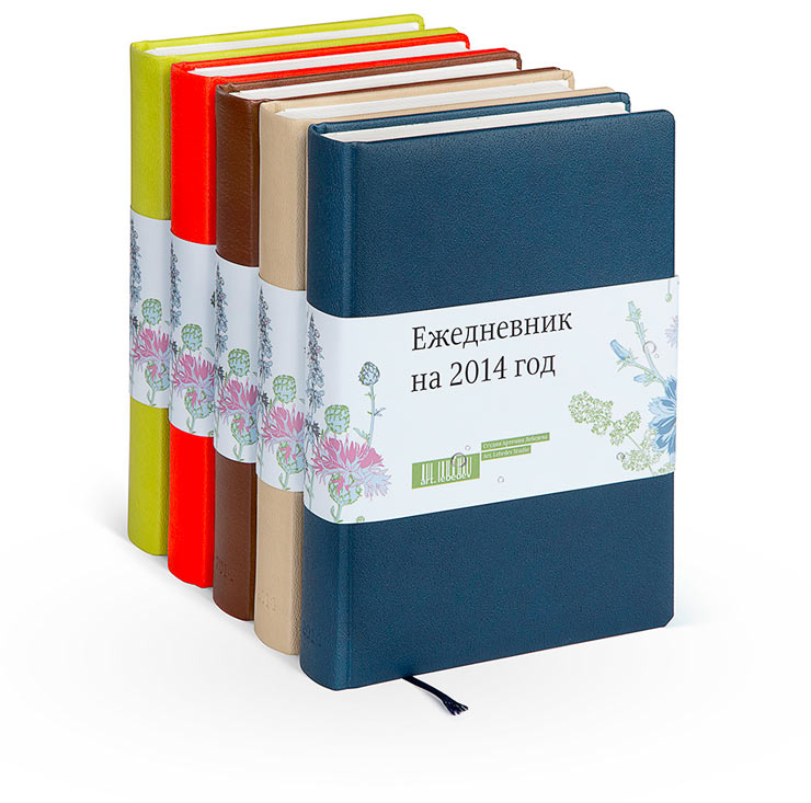 daily planner 2014 big all new