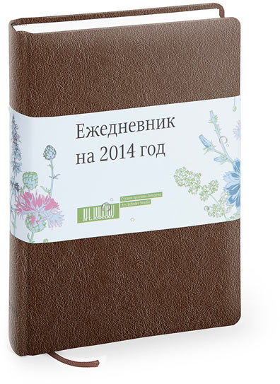 daily planner 2014 big brown