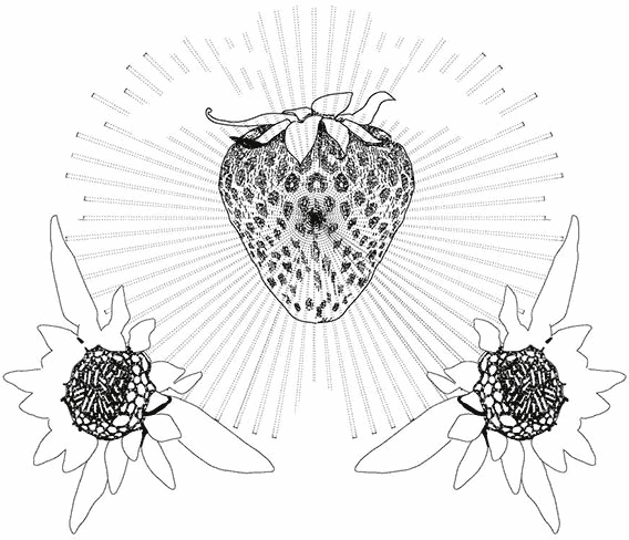 daily planner 2014 big process 04