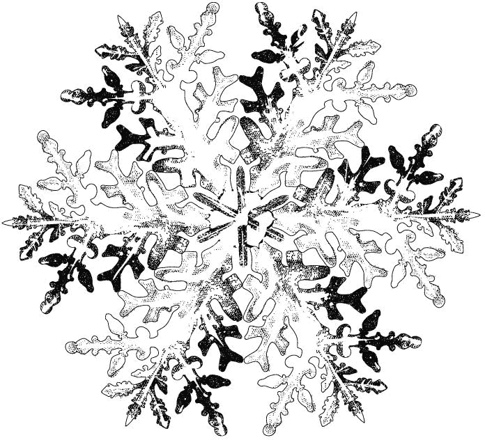 daily planner 2014 big process 05