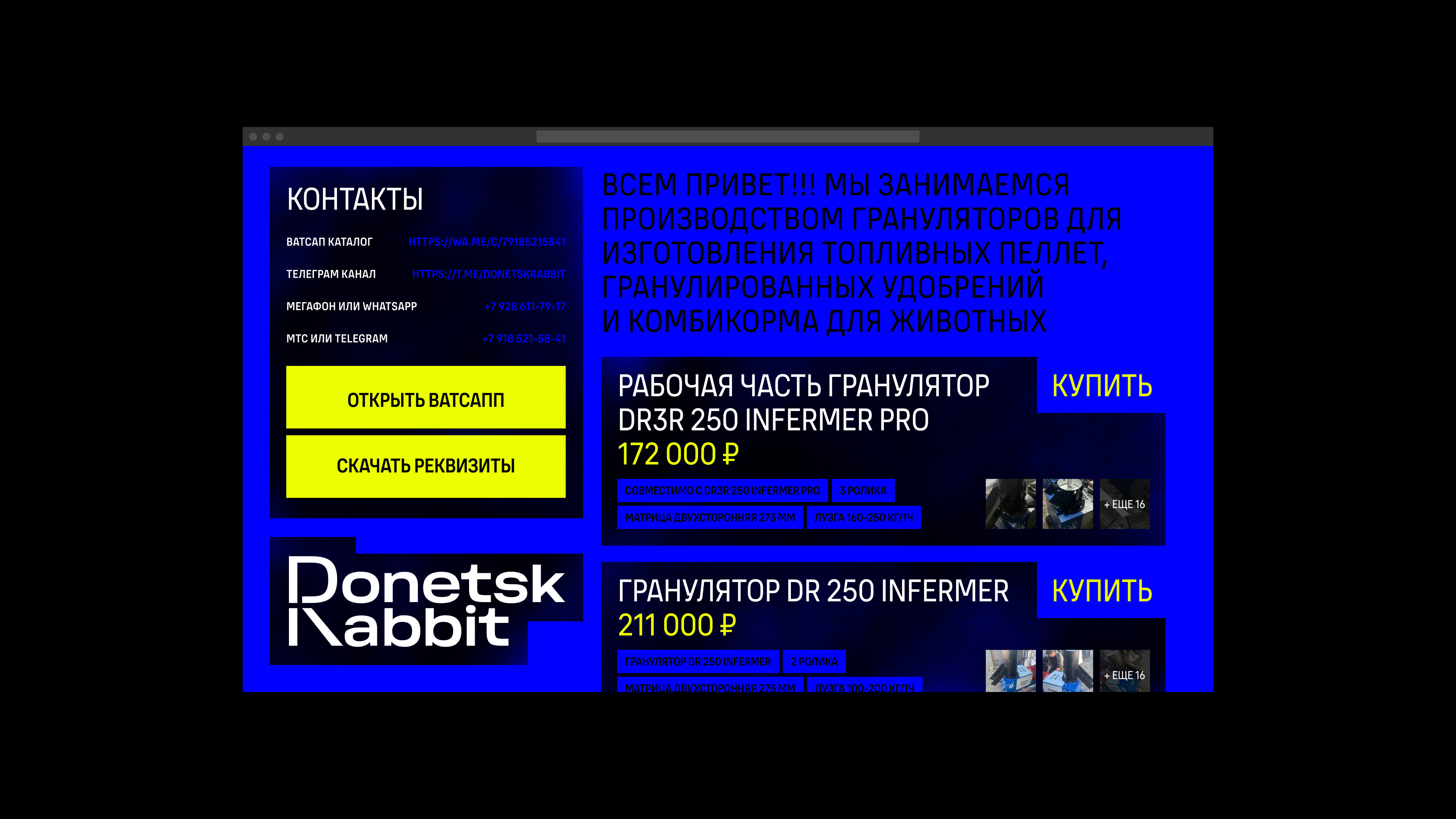 donetsk rabbit 02