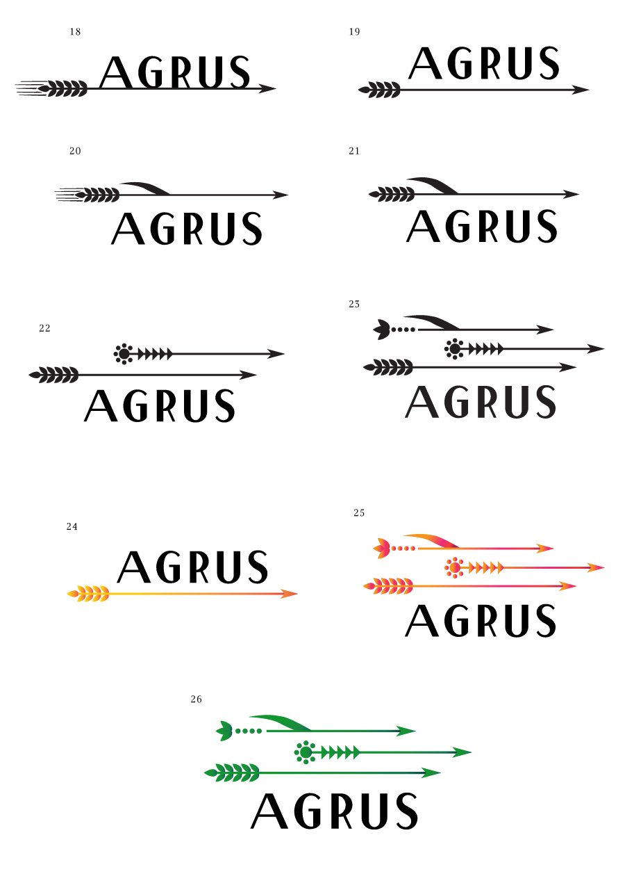 agrus process 13