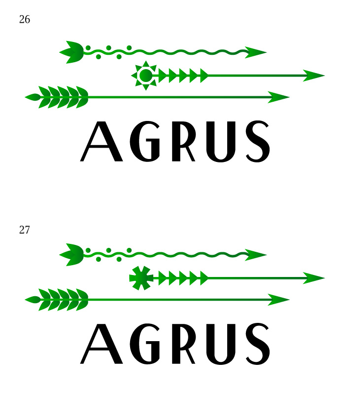 agrus process 16