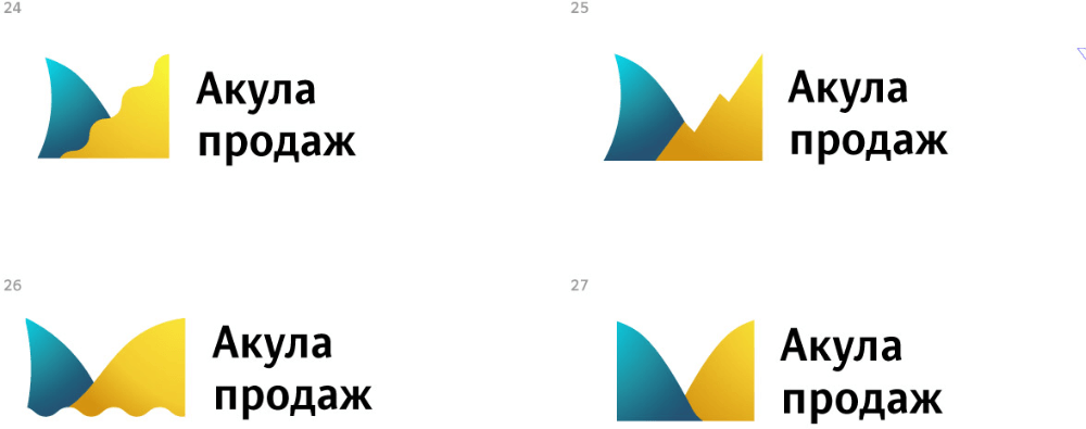 akuly prodazh process 09