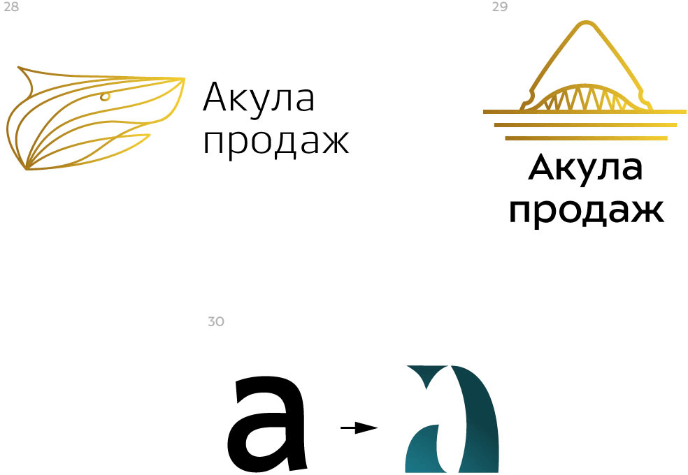 akuly prodazh process 10