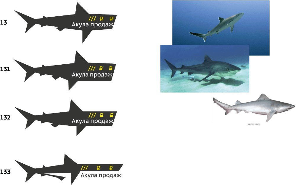 akuly prodazh process 17