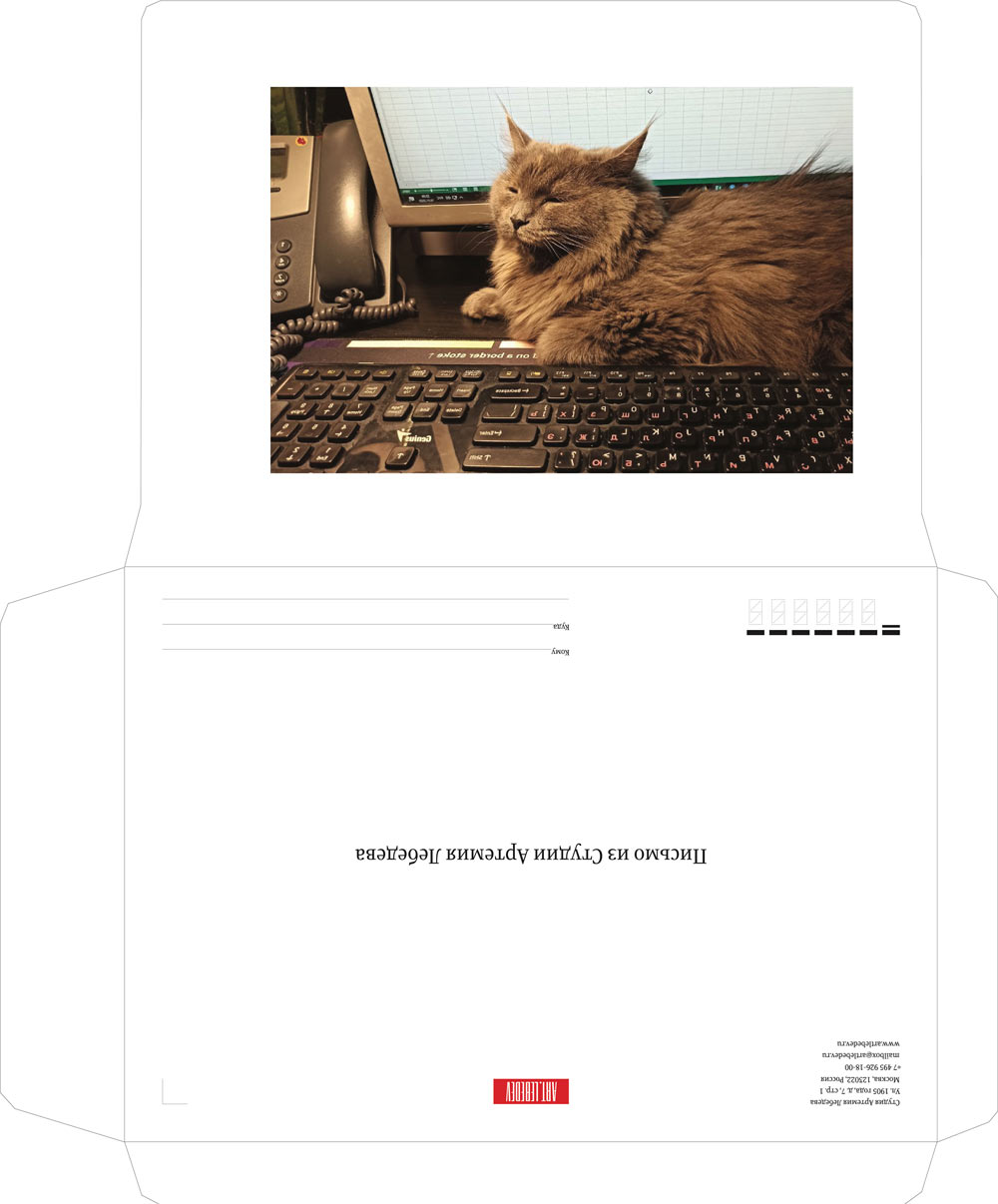 als envelope 2020 process 01