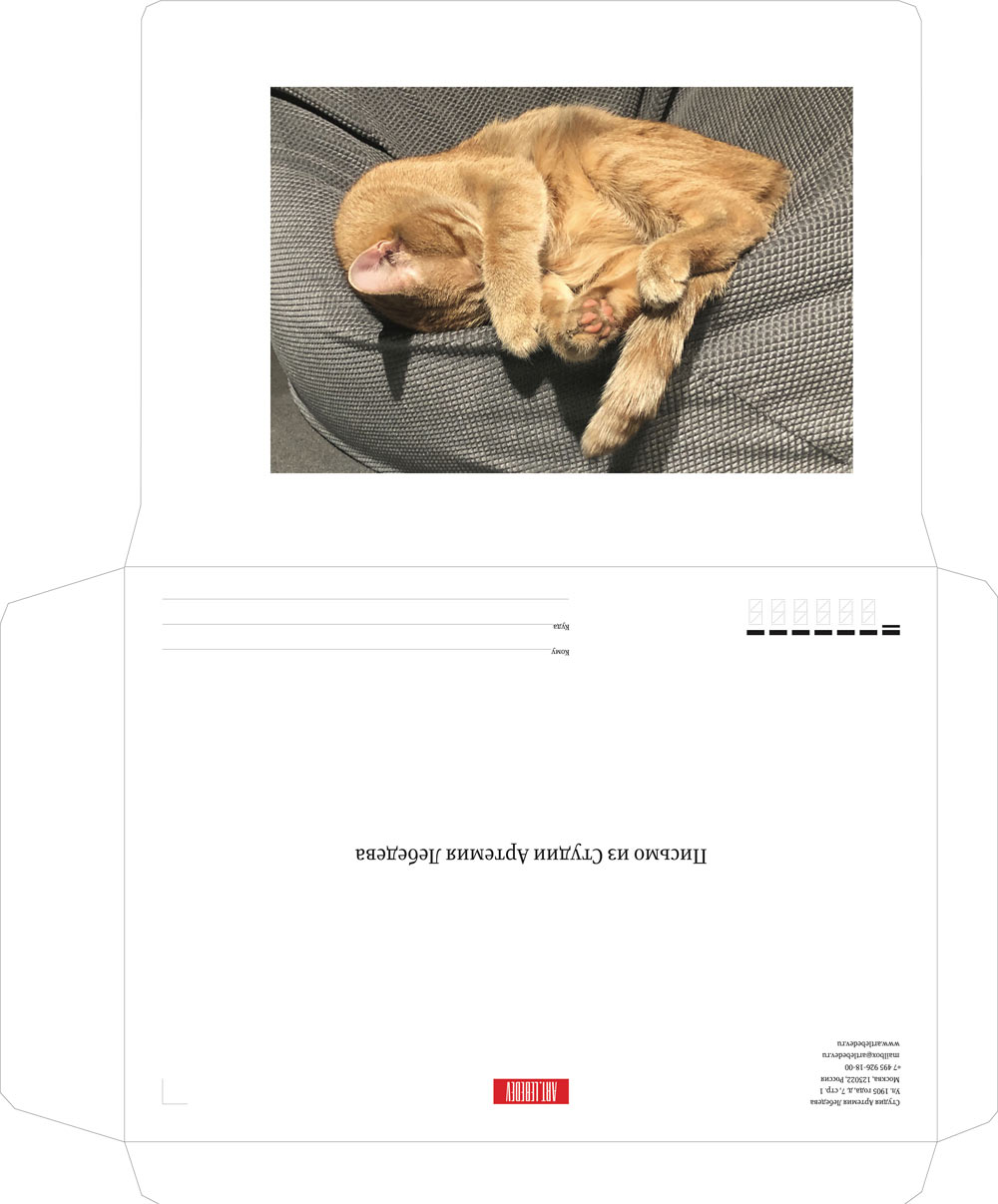 als envelope 2020 process 02