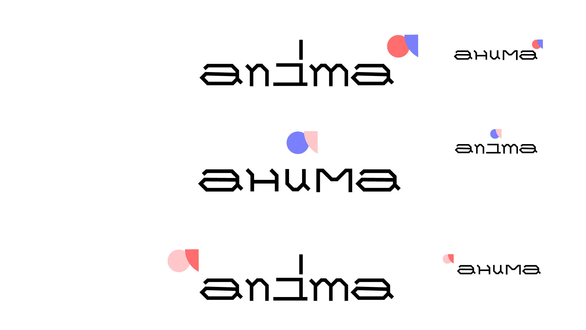 anima process 07
