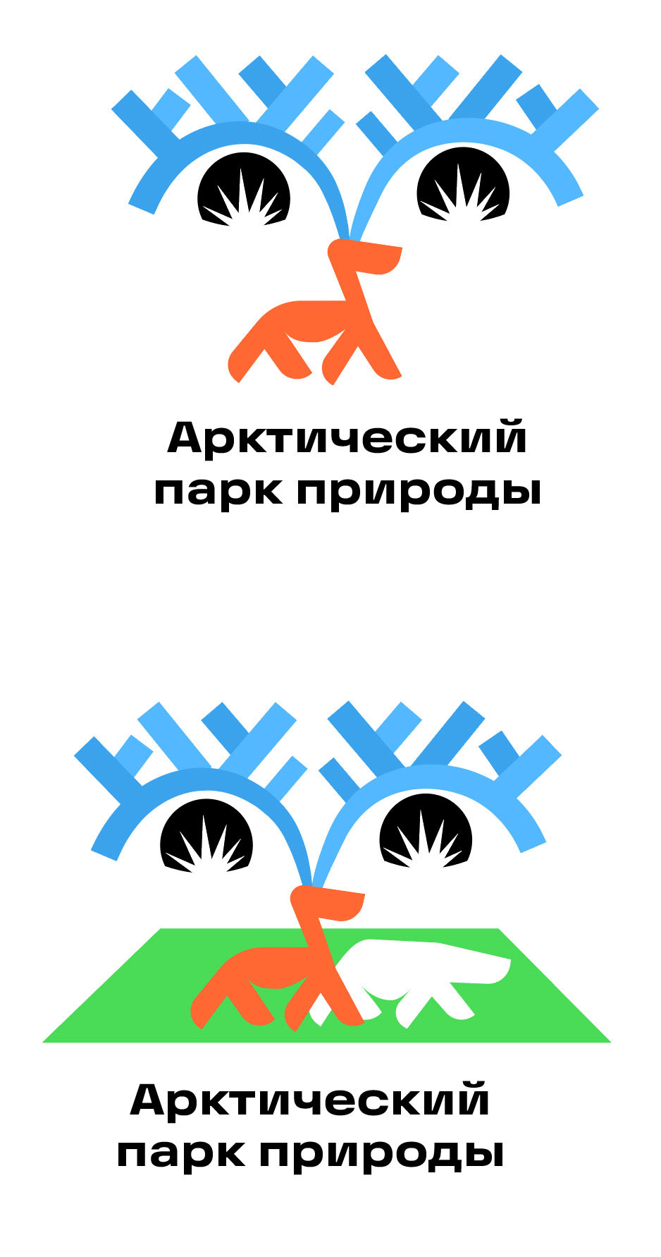 arktichesky park prirody process 03