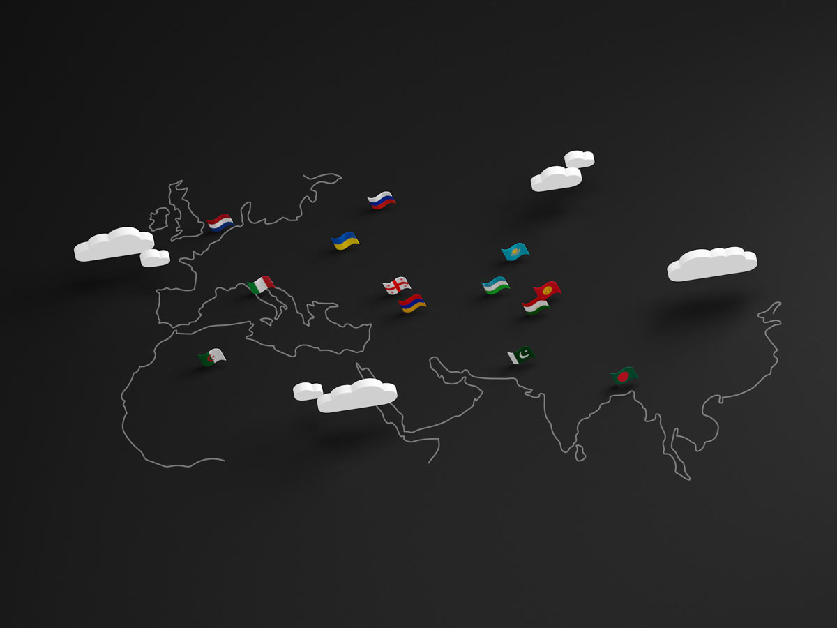 beeline job process 02