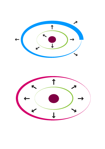 chto bylo dalshe process 44
