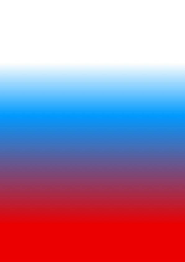 constitution process 02