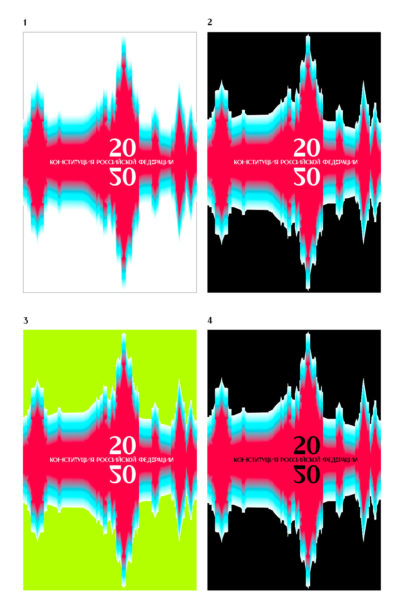 constitution process 04
