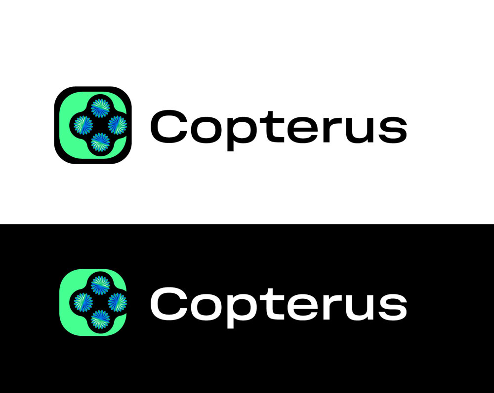 copterus process 02