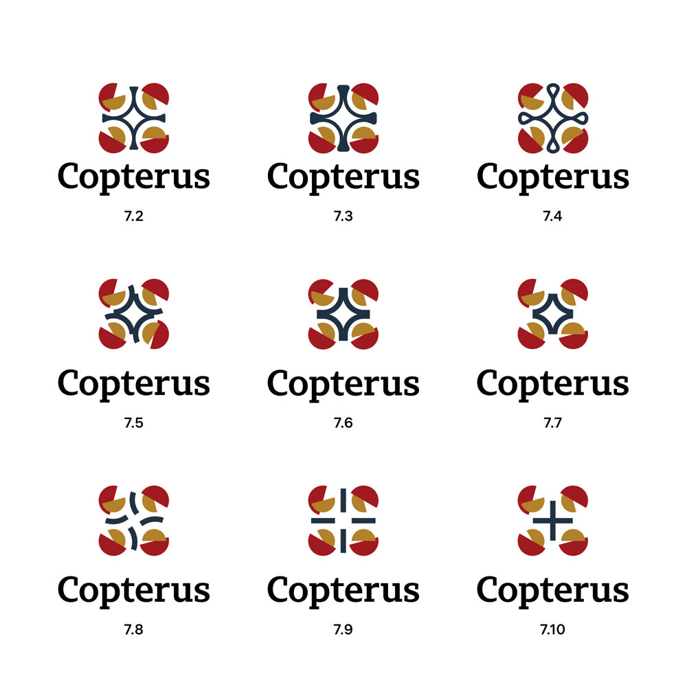copterus process 06