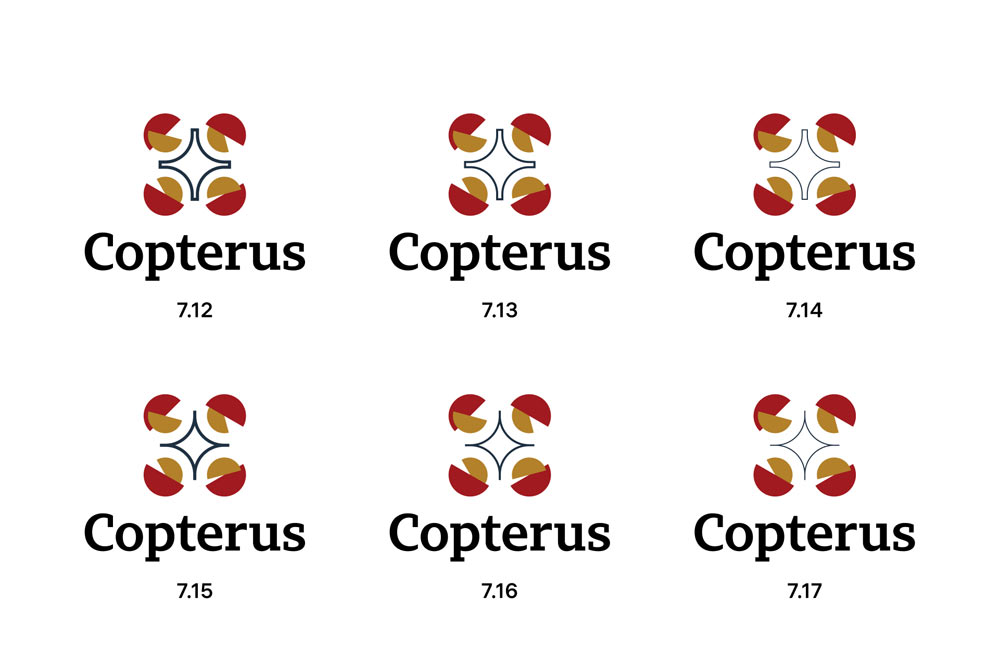 copterus process 08