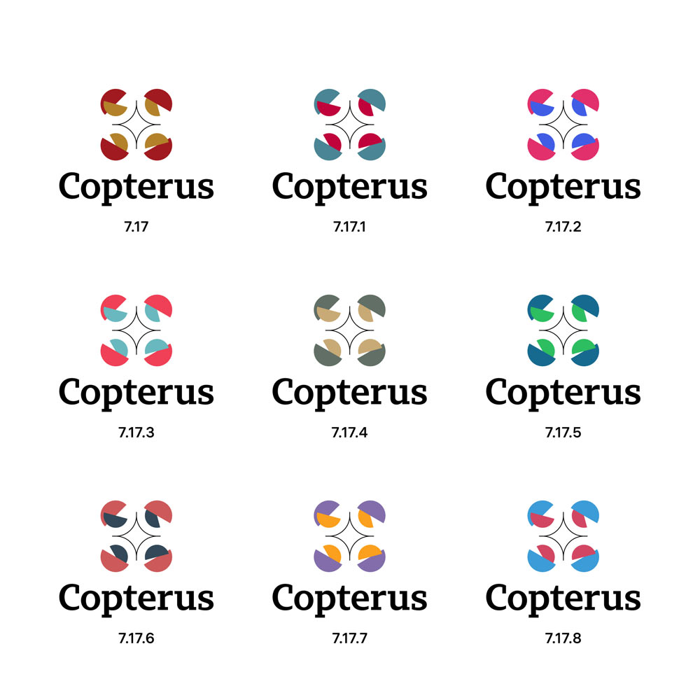 copterus process 09