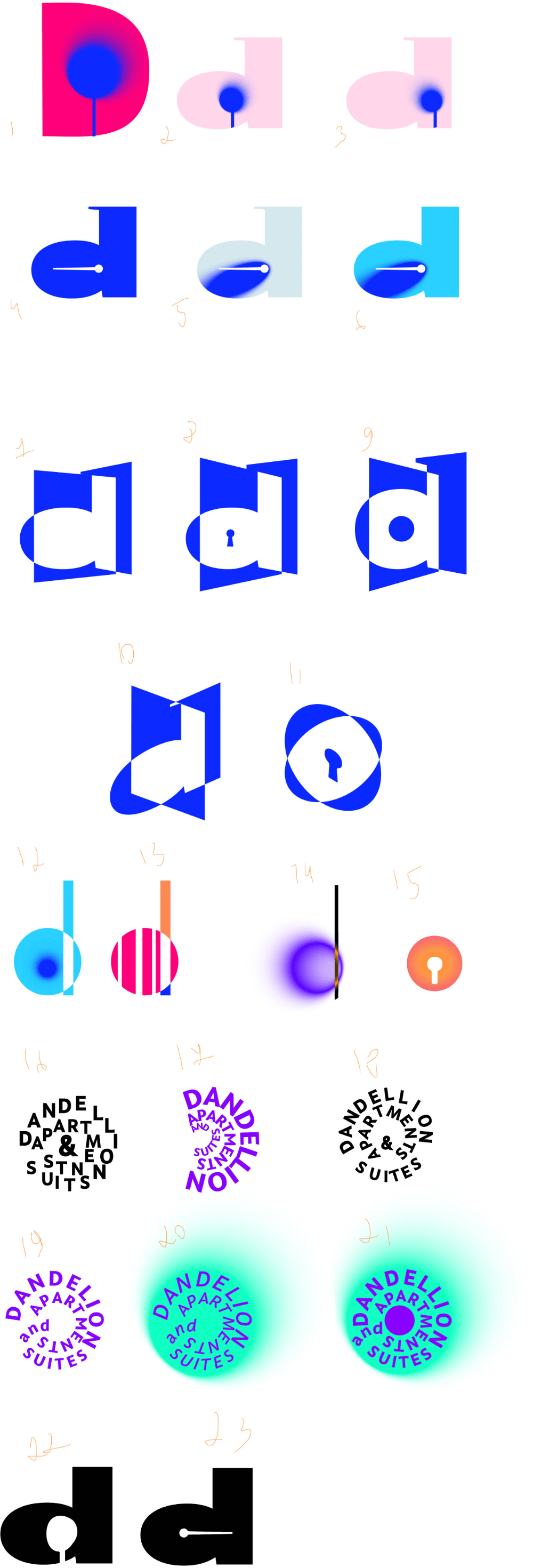 dandelion process 01