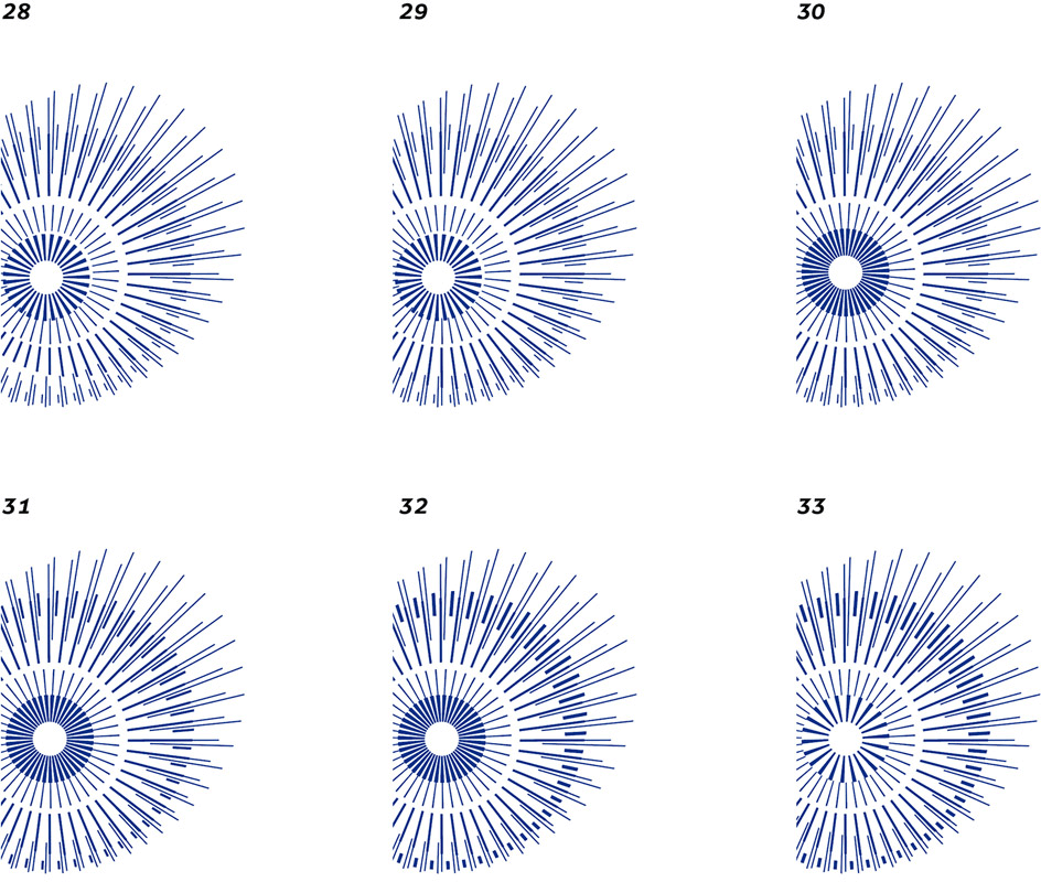 dandelion process 04