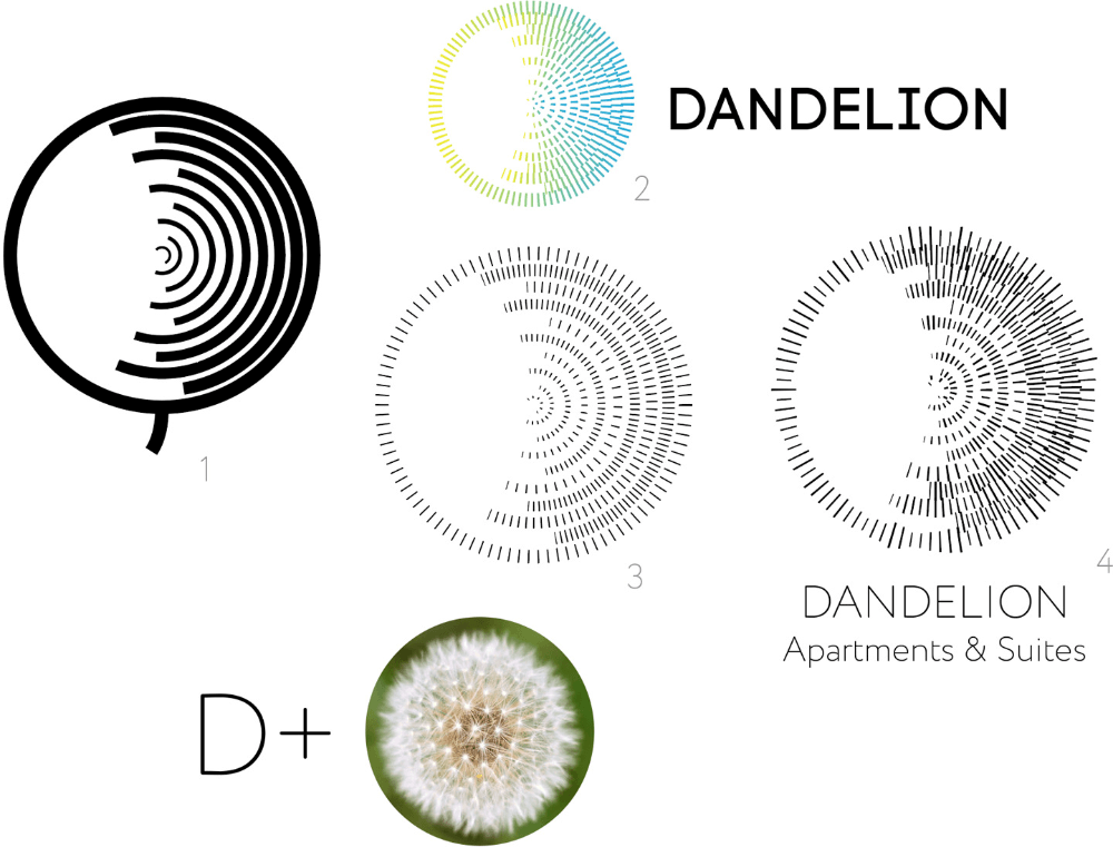 dandelion process 08