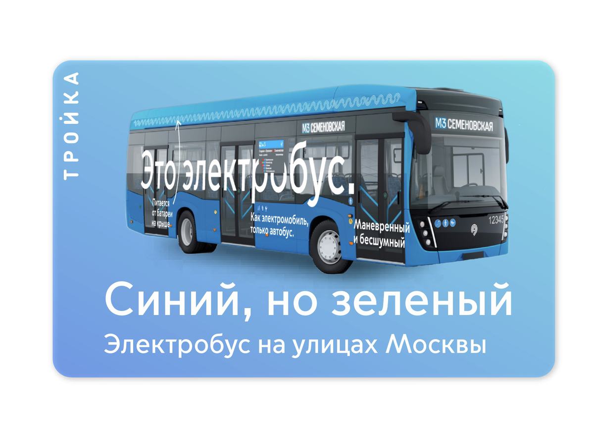 electrobus process 39