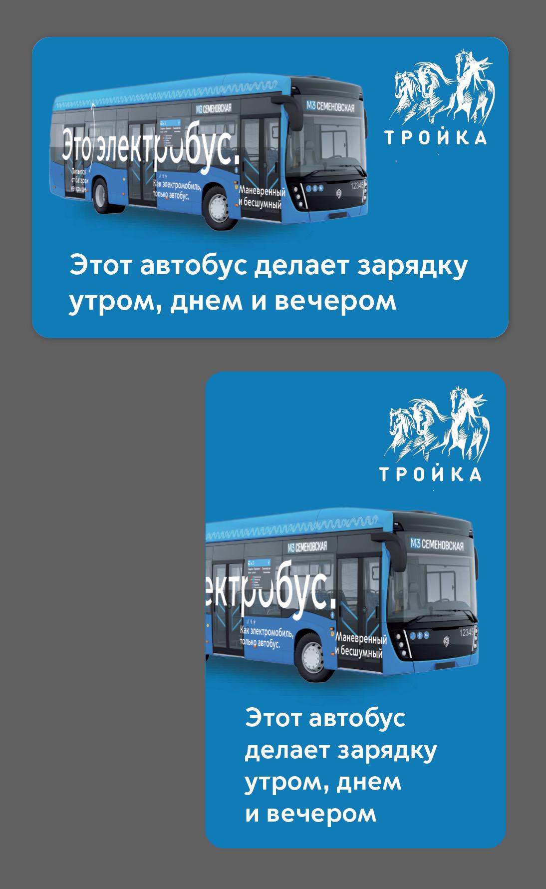 electrobus process 49