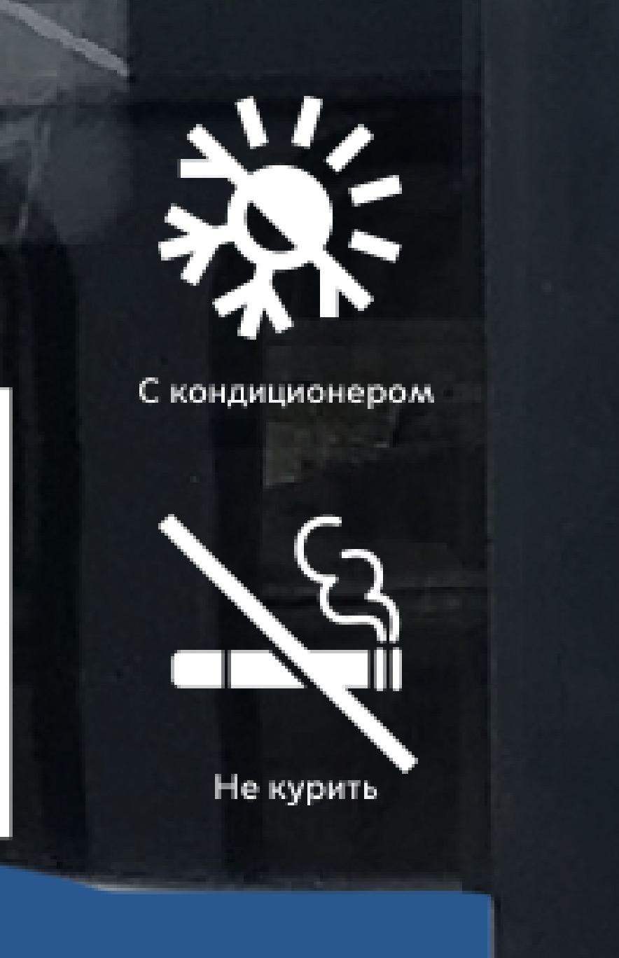 electrobus process 51