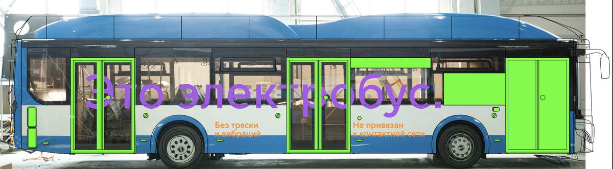 electrobus process 55