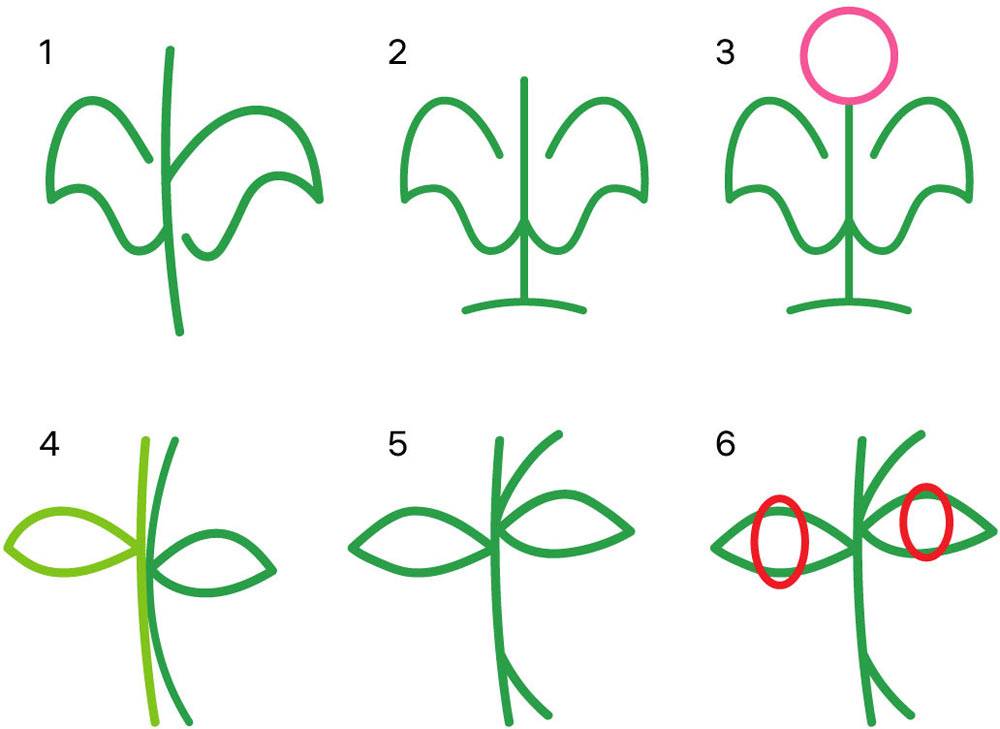 fermer karelii process 04