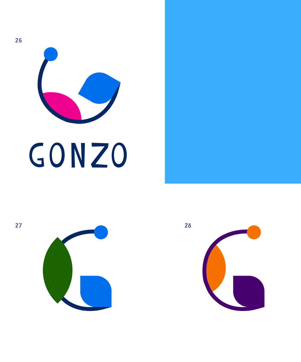 gonzo process 13