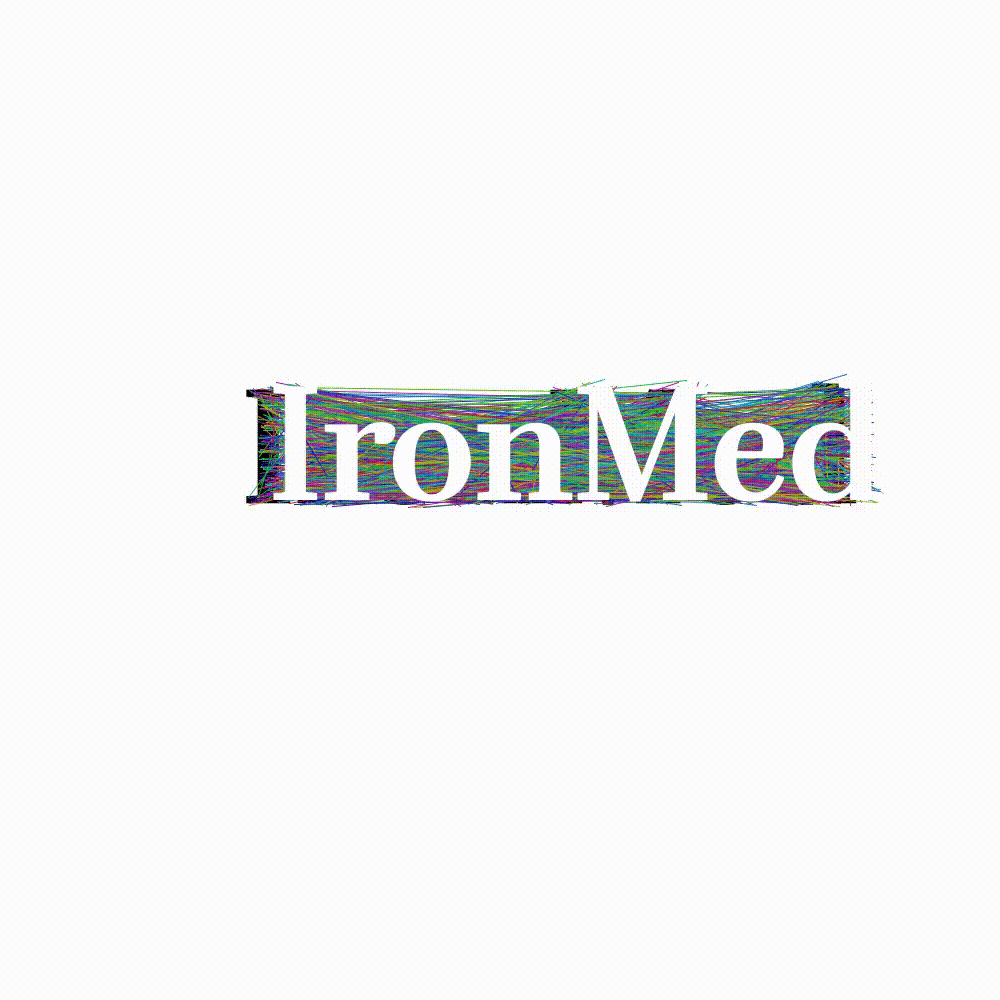 ironmed process 03