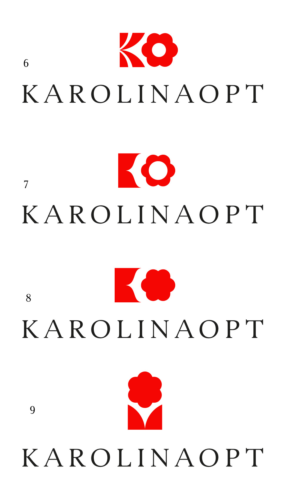 karolinaopt process 02