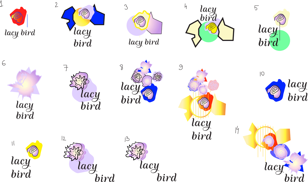 lacy bird process 02