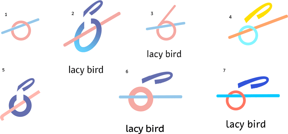 lacy bird process 08