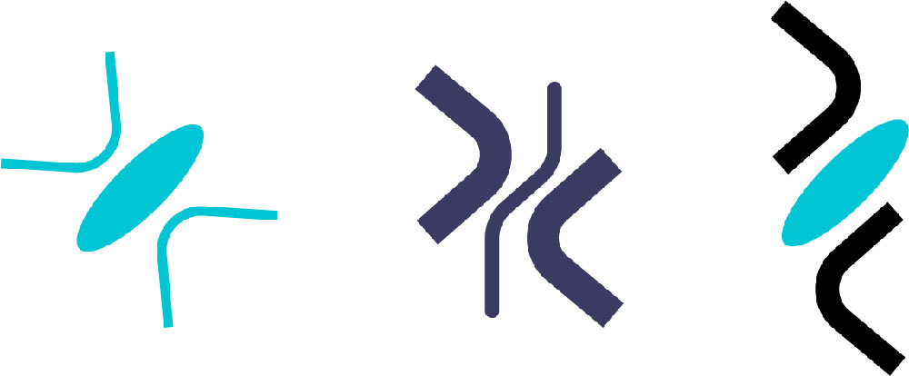 leozhukov process 11