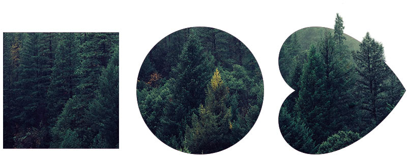 soz identity process 13