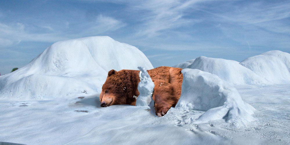 moscow zoo ad process 03