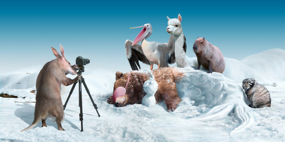 moscow zoo ad process 07