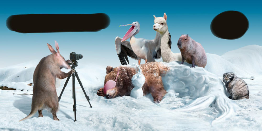 moscow zoo ad process 08