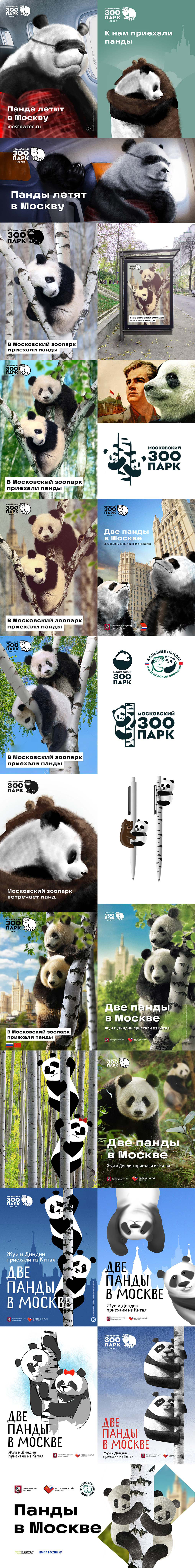 moscow zoo pandas process 01