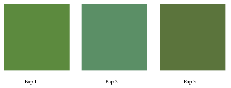 improvement and renovation process 05