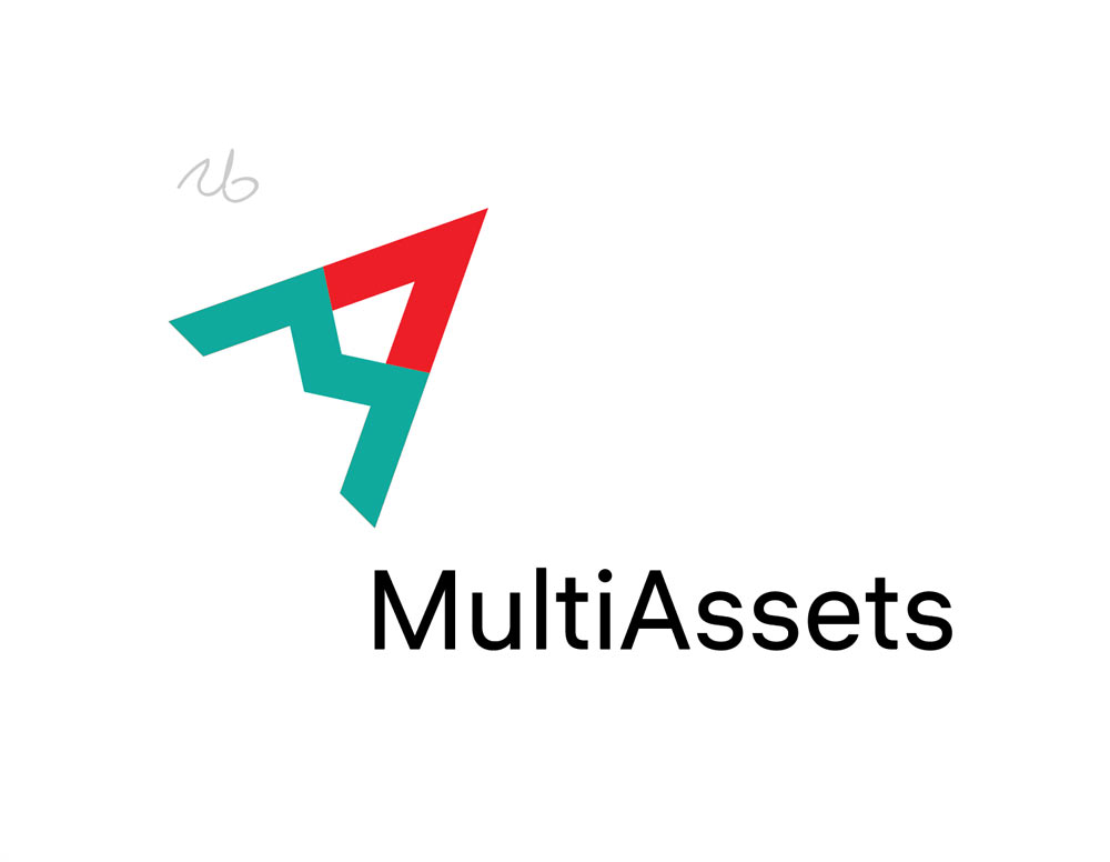 multiassets process 03