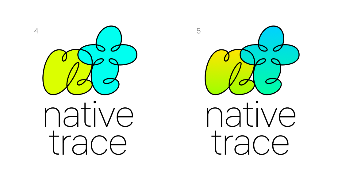 native trace process 02
