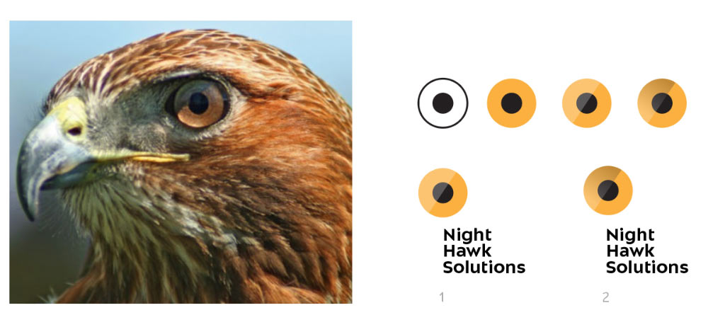 nighthawk solutions process 01