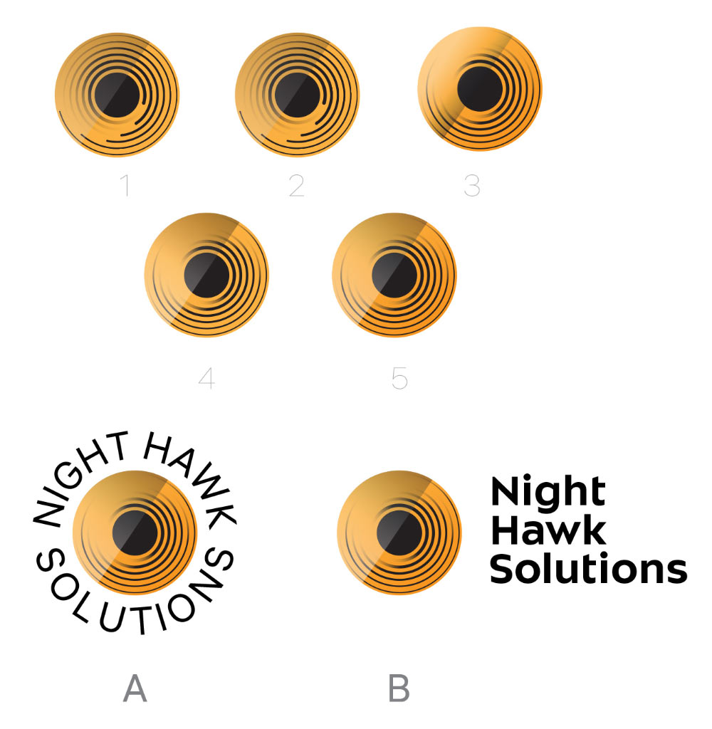 nighthawk solutions process 06