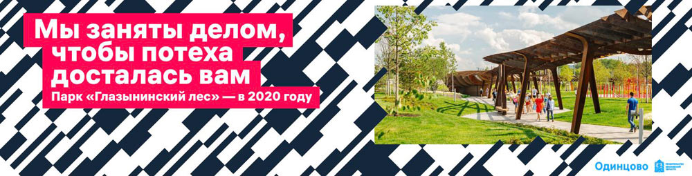 odintsovo process 41