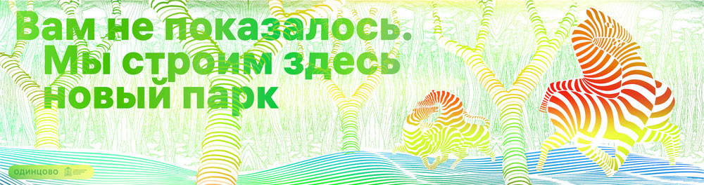 odintsovo process 45